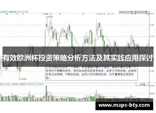 有效欧洲杯投资策略分析方法及其实践应用探讨